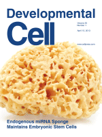 dev-cell-cover