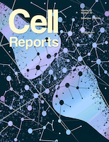 cell-cover