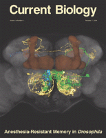 current-bio-2004-cover